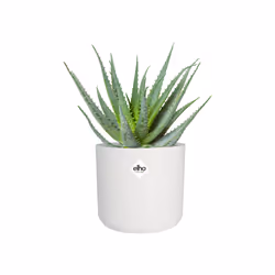 elho B.For Soft Round 14cm - Additional view 5