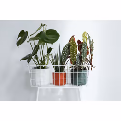 elho B.For Soft Round 14cm - Additional view 8