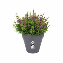 elho loft urban round 25 Outdoor Pot planter Freestanding Polypropylene (PP) Anthracite - Additional view 4