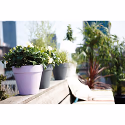 elho loft urban round 25 Outdoor Pot planter Freestanding Polypropylene (PP) Anthracite - Additional view 5