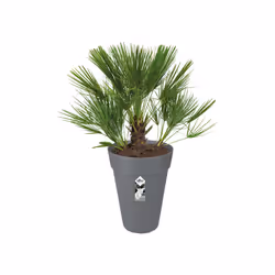 elho loft urban round high 28 Outdoor Pot planter Freestanding Polypropylene (PP) Anthracite