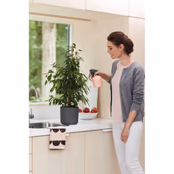 elho b.for soft round 22cm Indoor Pot planter Freestanding Polypropylene (PP) Anthracite - Additional view 8