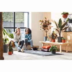 elho b.for soft round 25cm Indoor Pot planter Freestanding Polypropylene (PP) Anthracite - Additional view 8