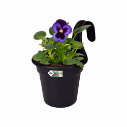 elho Green Basics Easy Hanger Small