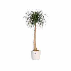 elho B.For Soft Round 30cm