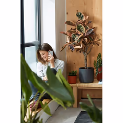 elho b.for soft round 35cm Indoor Pot planter Freestanding Polypropylene (PP) Anthracite - Additional view 6