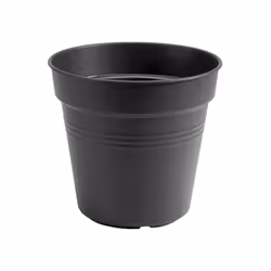 elho green basics growpot, Pot planter, Freestanding, Polypropylene (PP), Black, Round, Indoor/outdoor