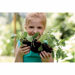 elho green basics growpot Indoor/outdoor Pot planter Freestanding Polypropylene (PP) Black - Additional view 5