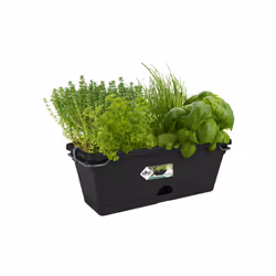 elho green basics balk mini allin1 30cm Outdoor Pot planter Hanging Polypropylene (PP) Black - Additional view 3