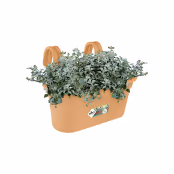 elho green basics easy hanger large Outdoor Pot planter Hanging Polypropylene (PP) Terracotta