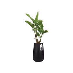 elho pure cone high 55 Indoor/outdoor Pot planter Freestanding Linear low-density polyethylene (LLDPE) Black