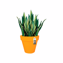 elho Pure Round 50cm