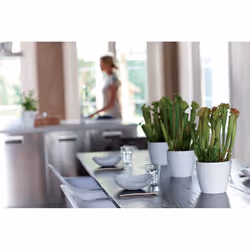 elho brussels diamond round 25cm Indoor Pot planter Freestanding Polypropylene (PP) White - Additional view 6