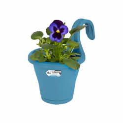 elho corsica easy hanger single Outdoor Pot planter Hanging Polypropylene (PP) Blue