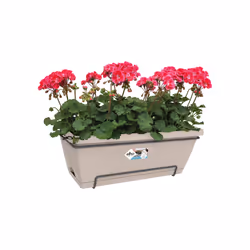 elho barcelona xl allin1 55cm Outdoor Pot planter Hanging Polypropylene (PP) Taupe