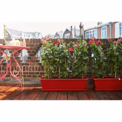 elho barcelona xl allin1 55cm Outdoor Pot planter Hanging Polypropylene (PP) Taupe - Additional view 5