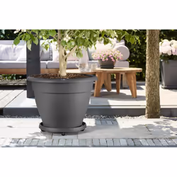 elho universal planttaxi 40cm Saucer - Additional view 3