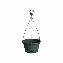 elho Green Basics Hanging Basket 28cm, Green, Plastic, Round, 100%, 2.9 m, 1700 mm