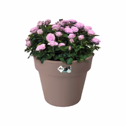 elho Green Basics Top Planter 23cm