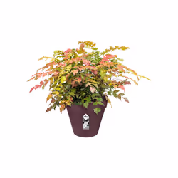 elho loft urban round 20 Outdoor Pot planter Freestanding Polypropylene (PP) Purple