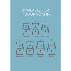elho Self-Watering Insert 24cm - Additional view 5
