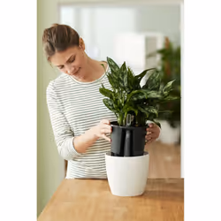 elho Self-Watering Insert 24cm - Additional view 7