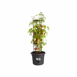 elho Green Basics Tomato Pot 33cm - Additional view 4