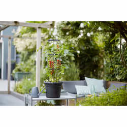 elho Green Basics Tomato Pot 33cm - Additional view 7