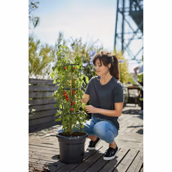 elho Green Basics Tomato Pot 33cm - Additional view 8