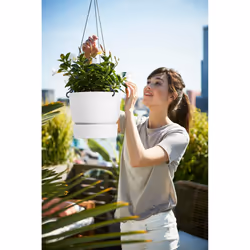 elho Greenville Hanging Basket 24cm - Additional view 5