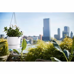 elho Greenville Hanging Basket 24cm - Additional view 6