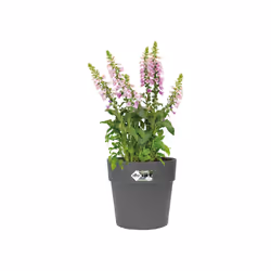 elho Vibia Straight Round 40cm