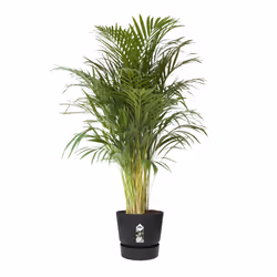 elho Greenville Round 47cm - Additional view 4