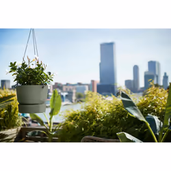 elho Greenville Hanging Basket 24cm - Additional view 5