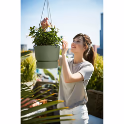 elho Greenville Hanging Basket 24cm - Additional view 6
