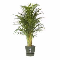 elho Greenville Round 40cm - Additional view 5