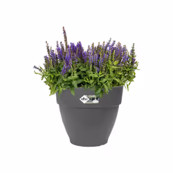 elho Vibia Campana Round 20cm