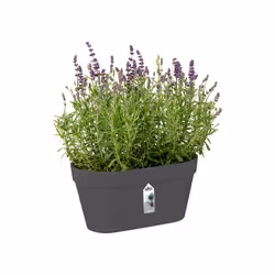 elho Loft Urban Green Wall Duo 28cm