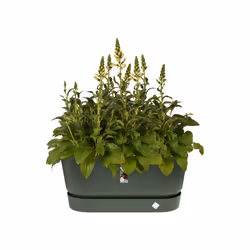 elho Greenville Terrace Trough 80cm - Additional view 5