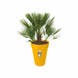elho Loft Urban Round High 35cm - Additional view 4