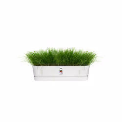 elho Greenville Trough Long 70cm - Additional view 4