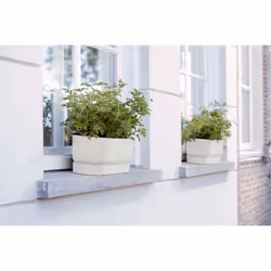 elho Greenville Trough Long 70cm - Additional view 7