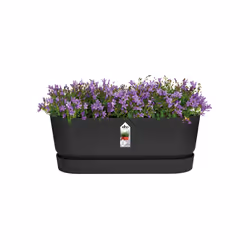 elho Greenville Trough Long 50cm - Additional view 4