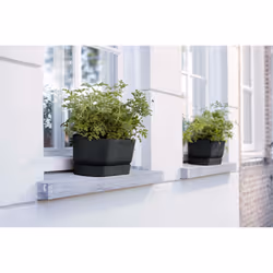 elho Greenville Trough Long 50cm - Additional view 7