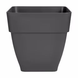 elho Vibia Campana Square 37cm, Black, Plastic, Square, 100%, 100%, 3700 mm