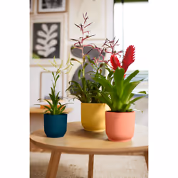 elho Vibes Fold Round 14cm - Additional view 8