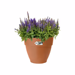elho Vibia Campana Round 25cm