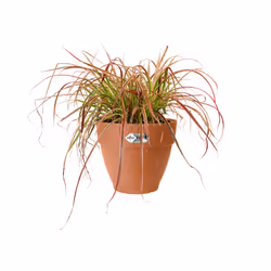 elho Vibia Campana Round 55cm - Additional view 6