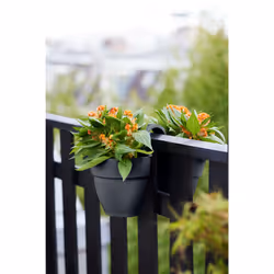 elho Vibia Campana Flower Twin 21cm - Additional view 8