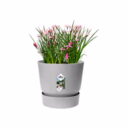 elho Greenville Round 16cm